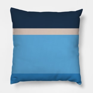 A great alliance of Silver, Space Cadet, Carolina Blue and Windows Blue stripes. Pillow