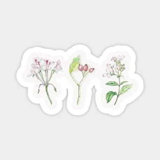 Autumn Flowers Magnet