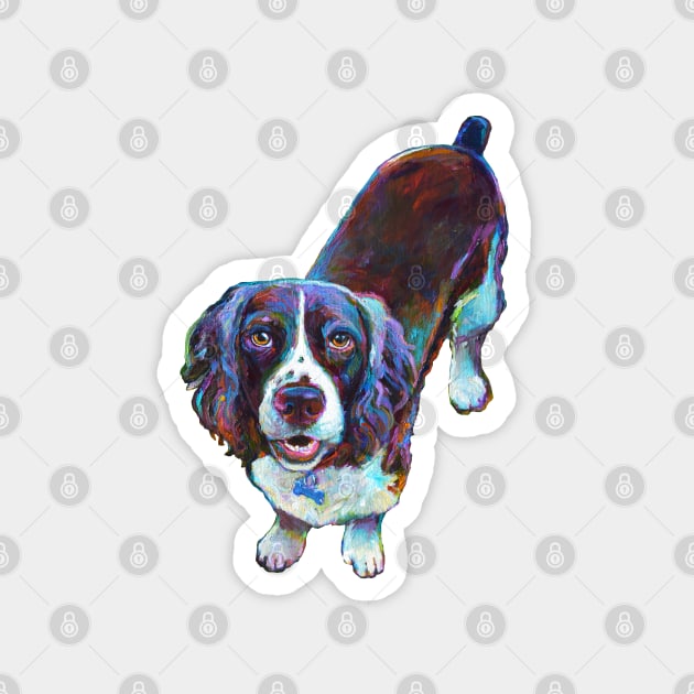 Colorful Cocker Spaniel by Robert Phelps Magnet by RobertPhelpsArt