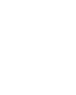 I'm Not Irish I Just Like To Get Drunk St Patricks Day Magnet