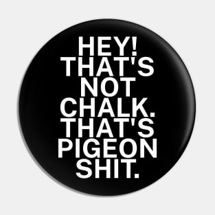 Hey Thats not chalk Thats pigeon shit Pin