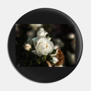 White Flower on a Dark Bokeh Background Pin