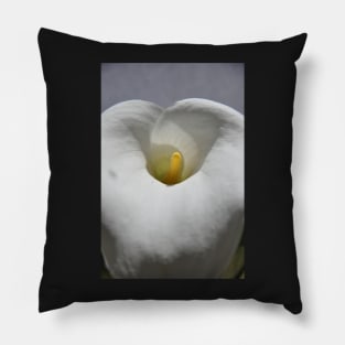 White Calla Lily Pillow