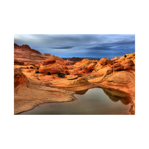 Pools And Petrified Sand Dunes by AdamJewell