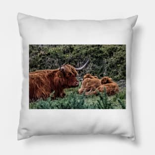 Dartmoor Highland Long Horned Cattle Pillow