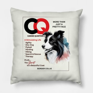 CQ MAGAZINE - Border Collie Pillow