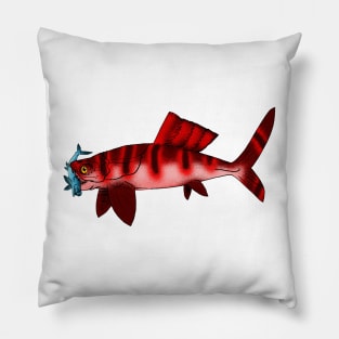 Draconichthys elegans Pillow