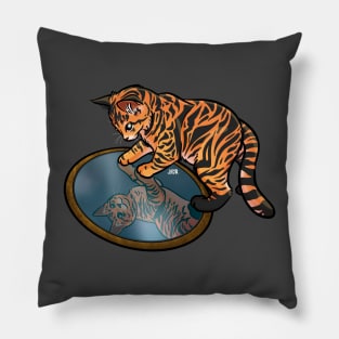 Tiger Tabby Mirror Pillow