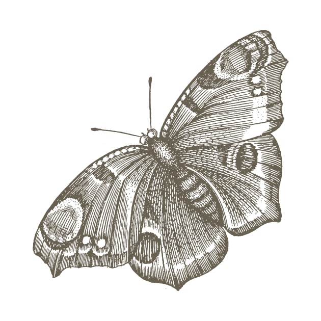 Dramabite Vintage butterfly illustration by dramabite