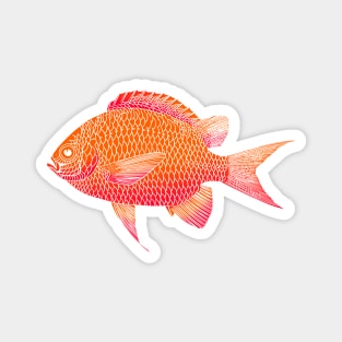 Red Fish Magnet