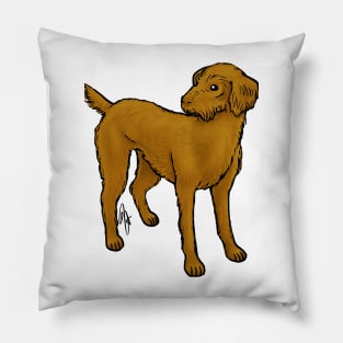 Dog - Vizsla - Wirehaired Pillow