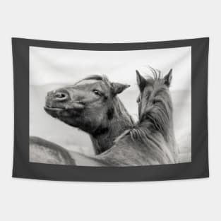 Funny Smiling Ranch Horse Tapestry