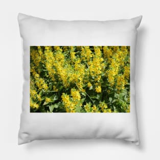 Yellow Flowers Pillow