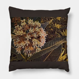 Milkweed Bloom No.1 Pillow