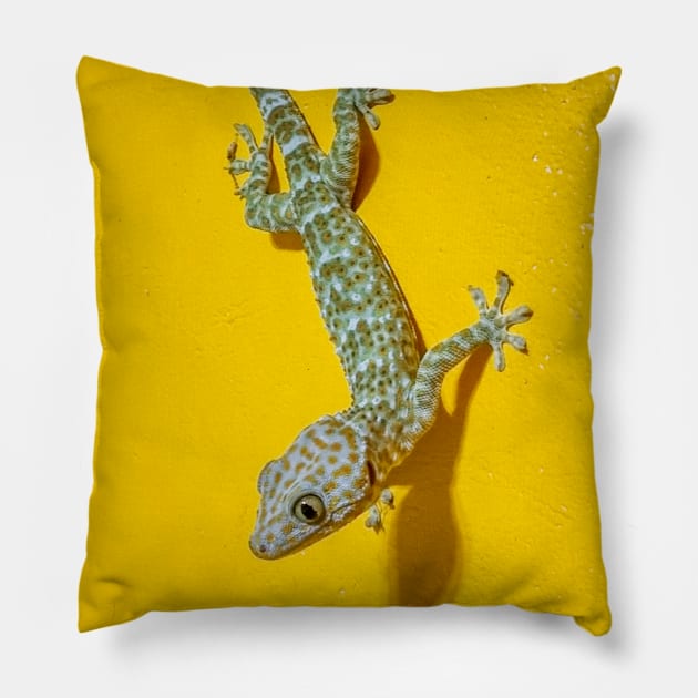 Tokay Gecko Pillow by Upbeat Traveler