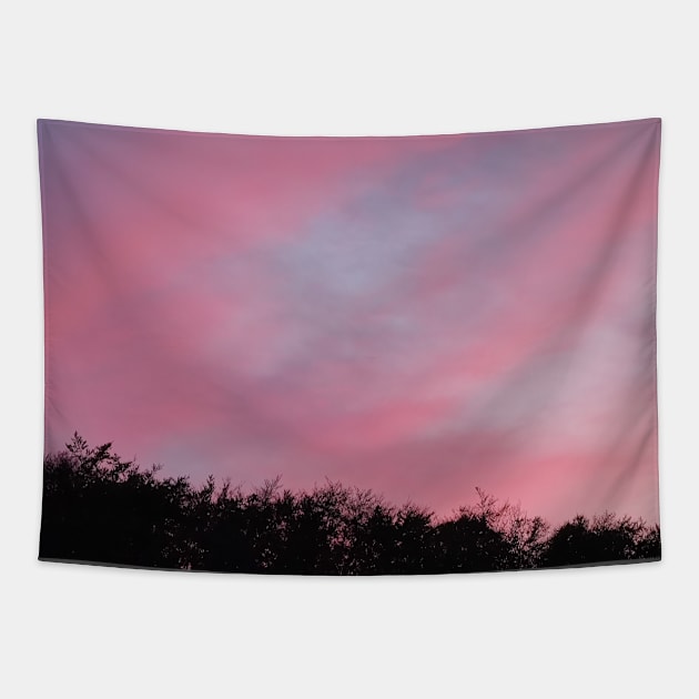 Pink Evening Sky Tapestry by craftydesigns