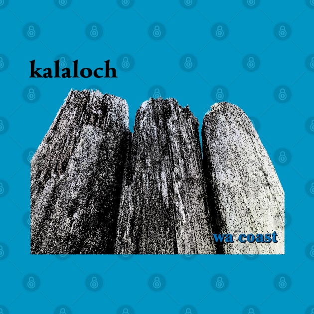 Kalaloch 2 by amigaboy