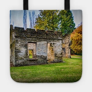 A Hidden Gem in the Forest: The Abandoned Stone Shack Tote