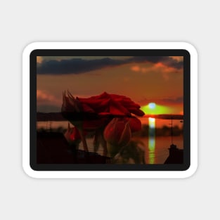 Romantic landscape with red roses over Danube sunset in water reflection Magnet