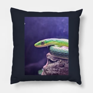 Green Python Snake Pillow