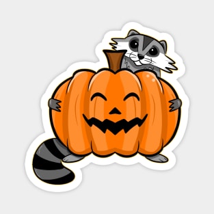 JACK-O-LANTERN RACCOON Magnet