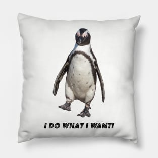 I do what I want Pillow