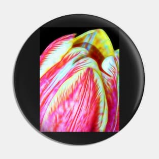 Tulip Close Up Pin