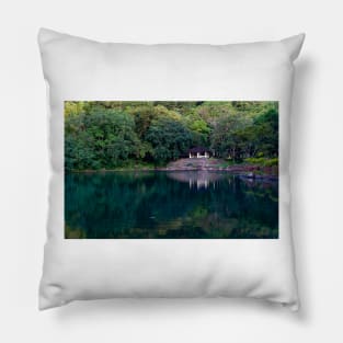 Forest Cottage Pillow