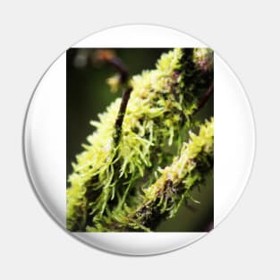 Tree moss Pin