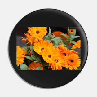 Pot marigold Pin