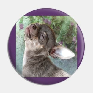 Cute Cheeky Chihuahua funny face. Flowers art design Pin