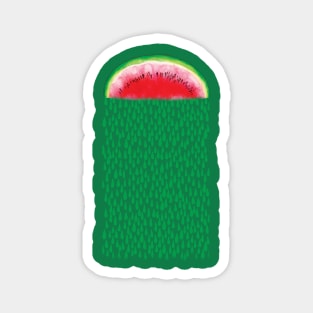 Watermelon Pattern Magnet