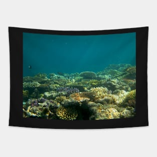 Under the Sea Tapestry