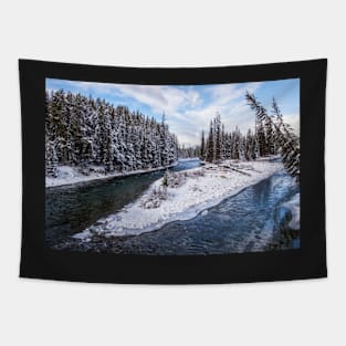 Snow and Ice vs. the Bow River Tapestry