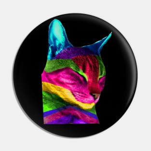 Multicolored Cat Pin