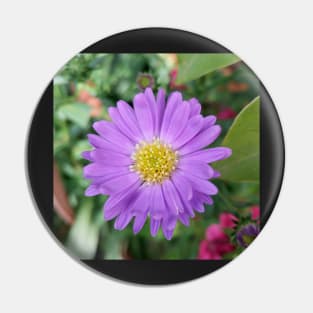 Purple Aster Pin