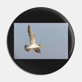 Silver Tern Pin