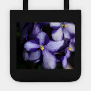 Violet & White Bi-colour African Violets Tote