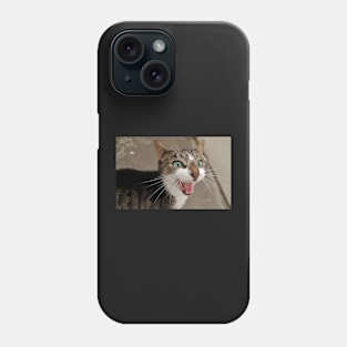 Cat Chat Phone Case