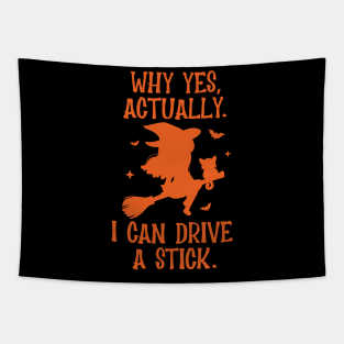 Why yes actually I can drive a stick Tapestry