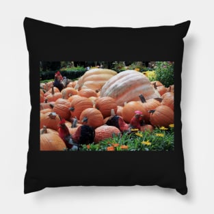 Chickens in the pumpkins Pillow