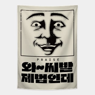 Korean Slang Facial Expressions For Sibal When Praise Tapestry