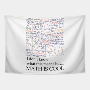 MATH IS COOL Tapestry