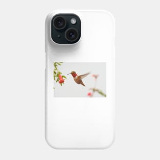 Rufous Hummingbird Phone Case