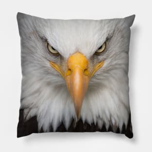 Eagle mask and more! Pillow