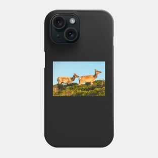 2 Elks 2 Phone Case