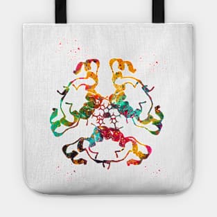 Insulin Structure Tote