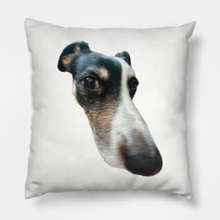 big nose dog funny meme Pillow