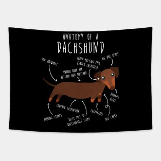 Chocolate and Tan Dachshund Dog Anatomy Tapestry