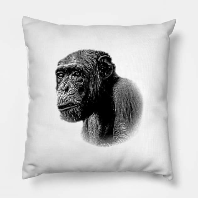 Chimpanzee Pillow by Guardi